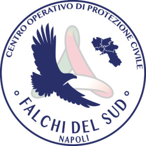 FALCHI DEL SUD_DEF